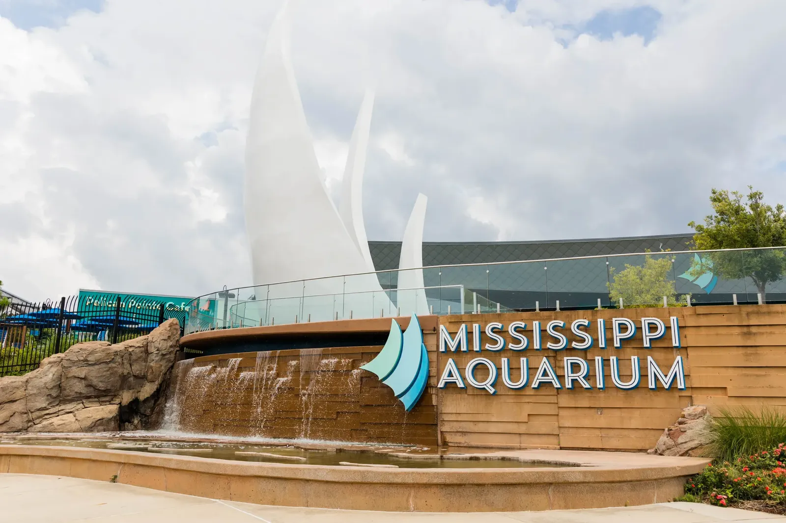 Aquarium corporate photography