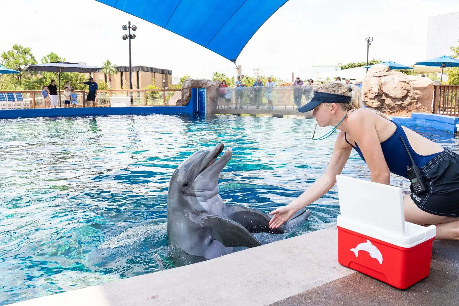 Aquarium corporate event photography
